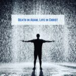 <strong>Fulfillment</strong> IMG_5553